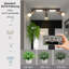 Shuntavia Spotlight-1064293458