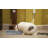 Sassy Paws Anti-Skid Elevated Feeder-41179308