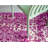 Annalotta Oriental Indoor Rug-1721389314