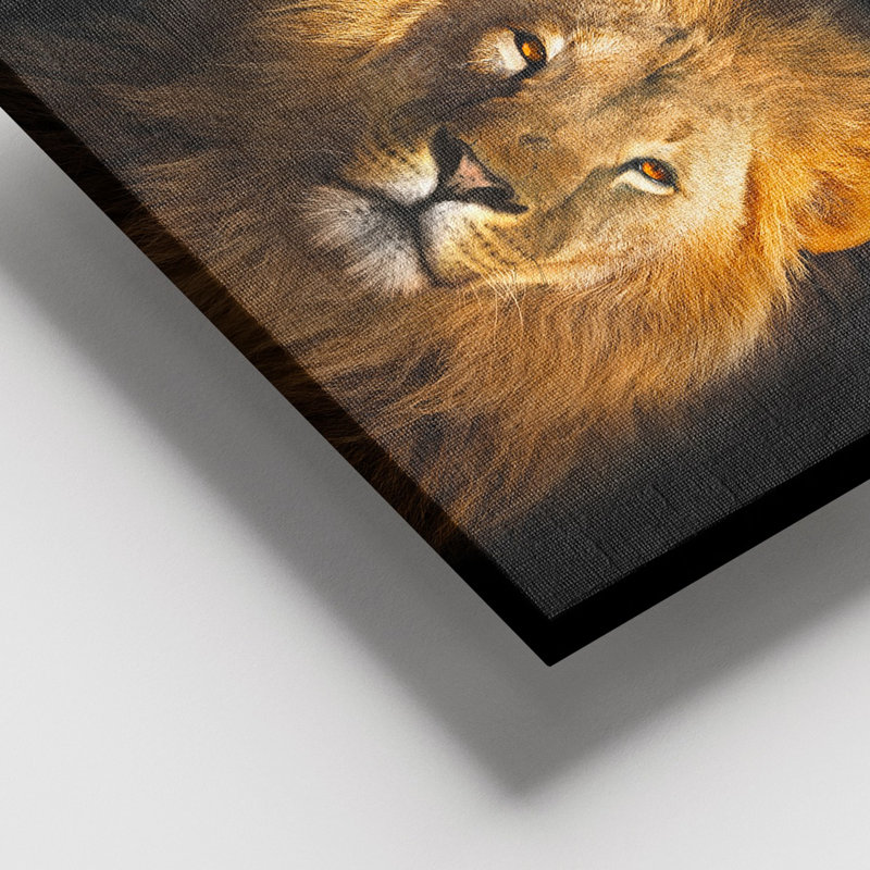 Peinture décorative sur toile