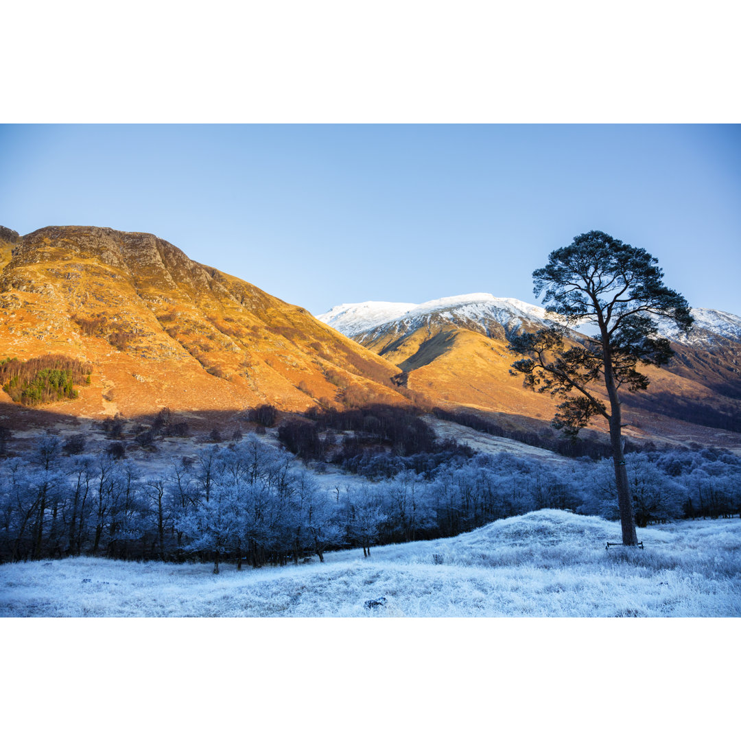 Sonnenuntergang am Ben Nevis von Theasis - Drucken