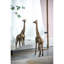 Miroir Poppy