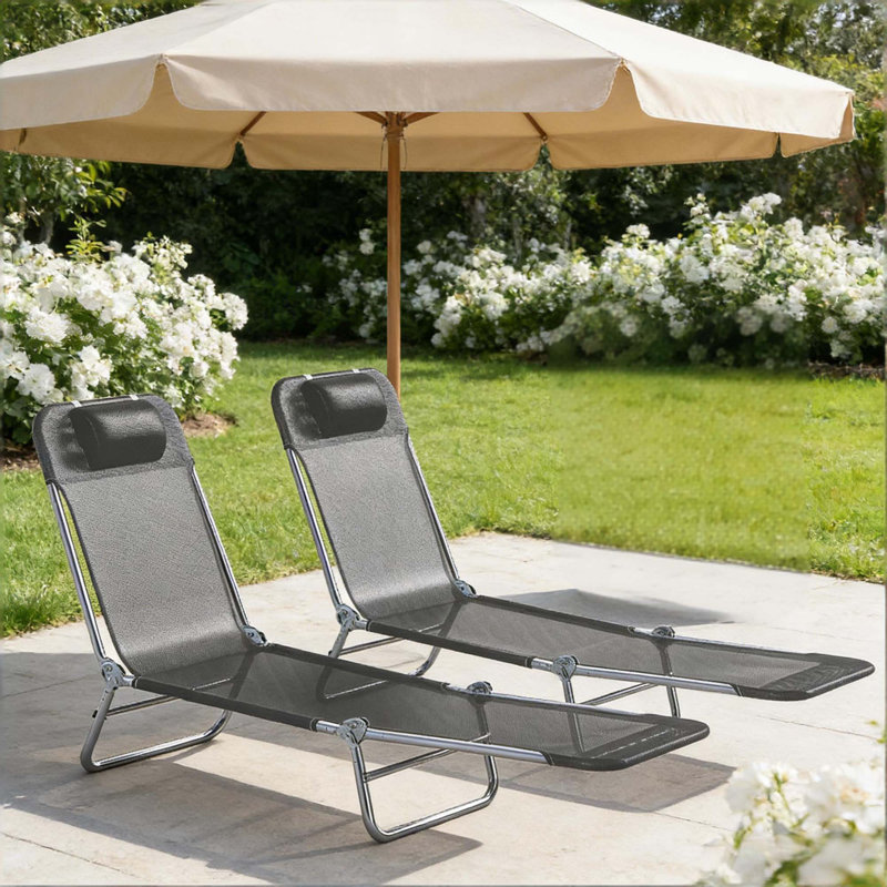 Chaises longues pliantes et chaises longues 2 pièces, Noir, Argent