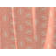 Dellview Retro Floret Eyelet Opaque Curtains-678957503-678957494