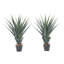 2 pièces d'agave artificiel à pointes