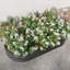 Lit de jardin surélevé en métal noir, 89,27 po x 44,65 po x 11,39 po, pour plantes et fleurs, structure, lit d'équilibre des sols en noir, légumes, drainage à base ouverte-1761053776-1761053791