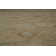 Landreneau Wool Oriental Indoor Rug