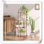 Cactus Palaiseur, étagère d'angle pour plantes d'intérieur