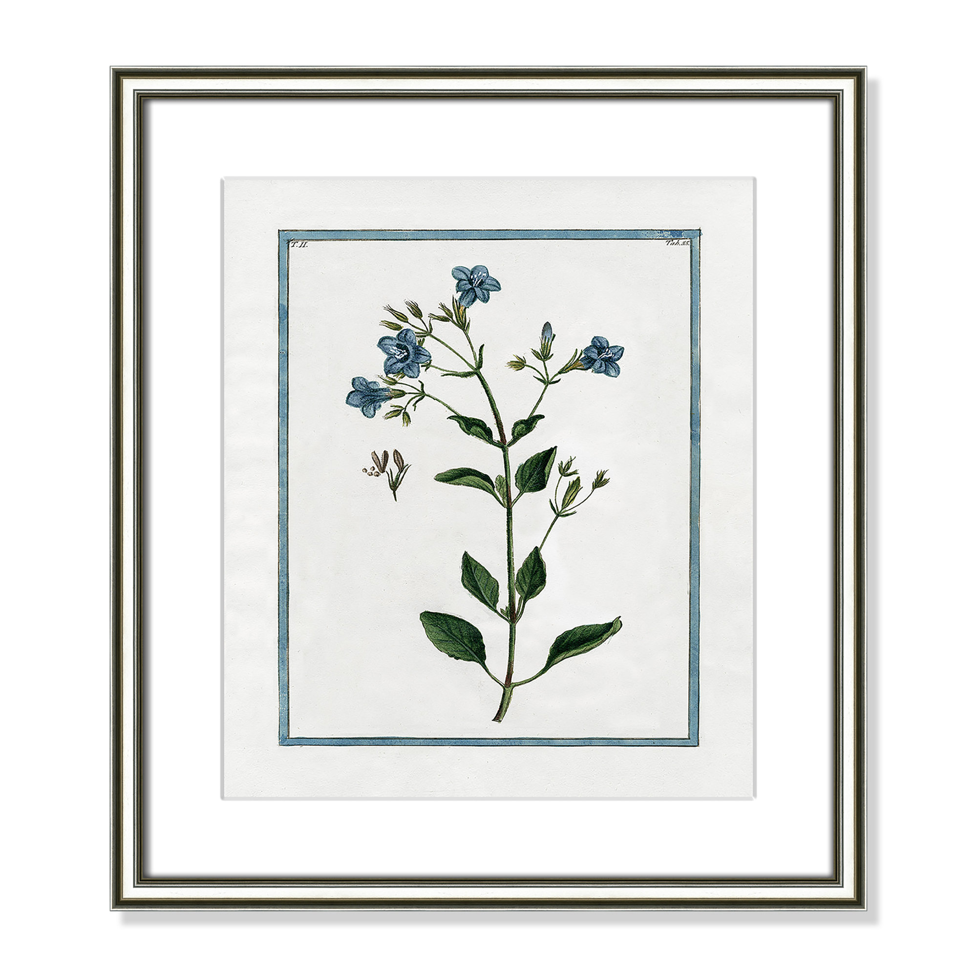 Shabby Elegance Botanical II - Framed Art, 14.25" W x 16.25" H, Silver Framed
