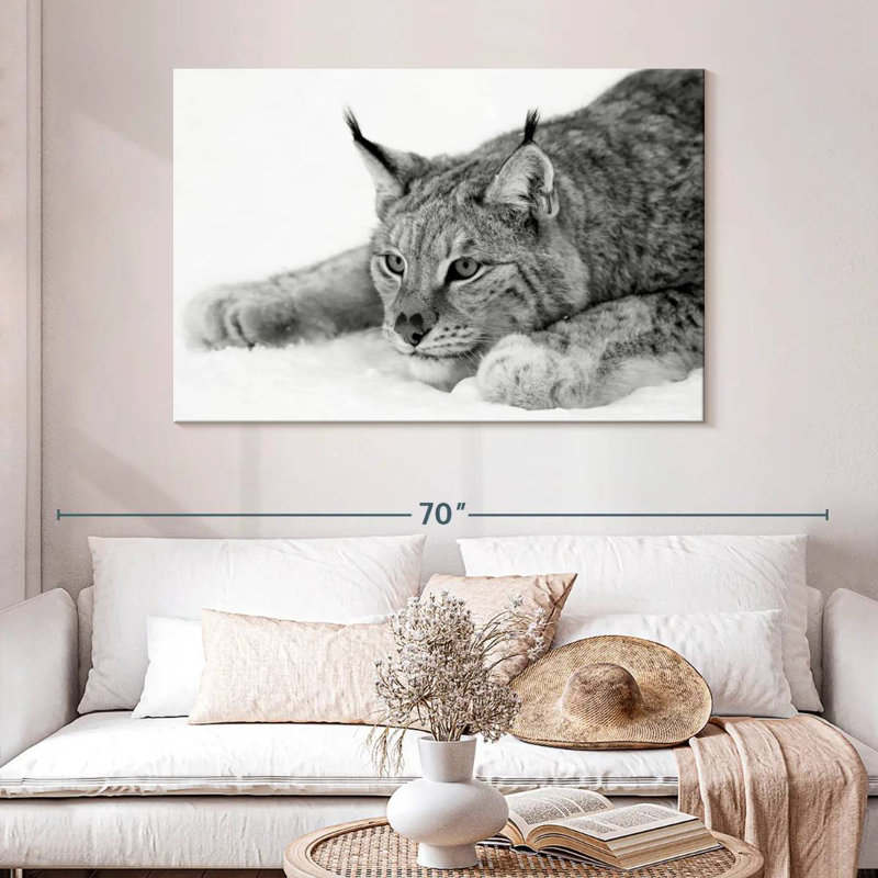 Brampt Lynx BW, 32" H x 48" W