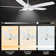 Gatha 56'' Ceiling Fan with LED Lights