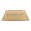 Non-Slip Indoor / Outdoor Doormat