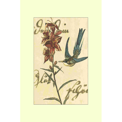 Colibri rêverie IV