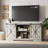 Rustic TV Stand With Barn Door-1407645683