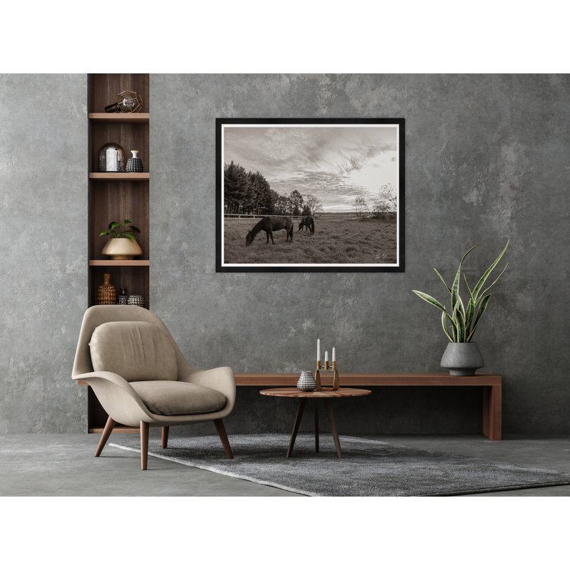 Grazing II Print by Tim Klein