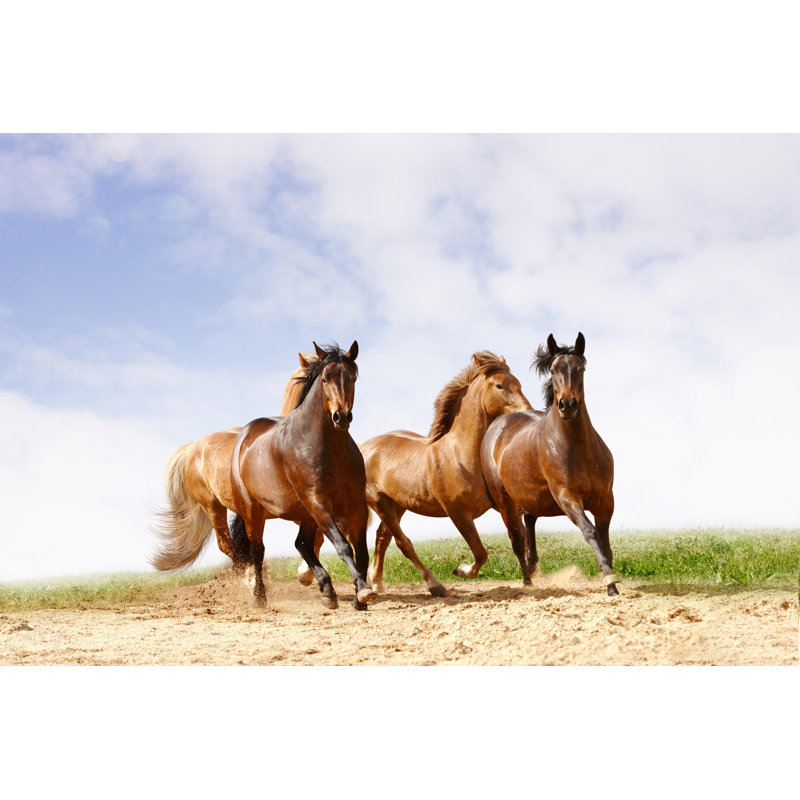 «Horses Run» par Mari_Art - Photographie sur toile tendue, L 36 po x H 24 po