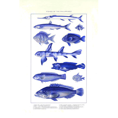 Imprimé de poisson rétro bleu
