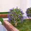 Boule artificielle topiaire en forme de lavande Adcock avec piquet - plante de buis artificielle résistante aux rayons UV pour porche extérieur et décoration de jardin - grand diamètre de 16 po-1785772477-1785772476