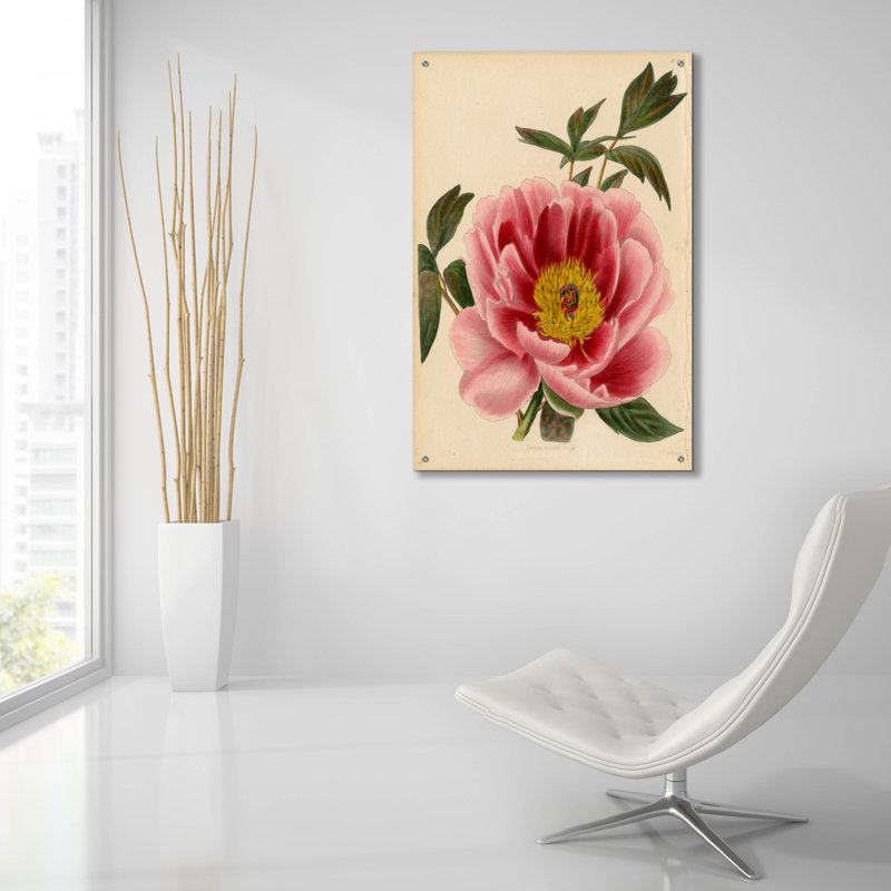Art mural en verre acrylique épique «Paeonia Montan» par Art Licensing Studio, 24 po x 36 po, H 36 po x l 24 po