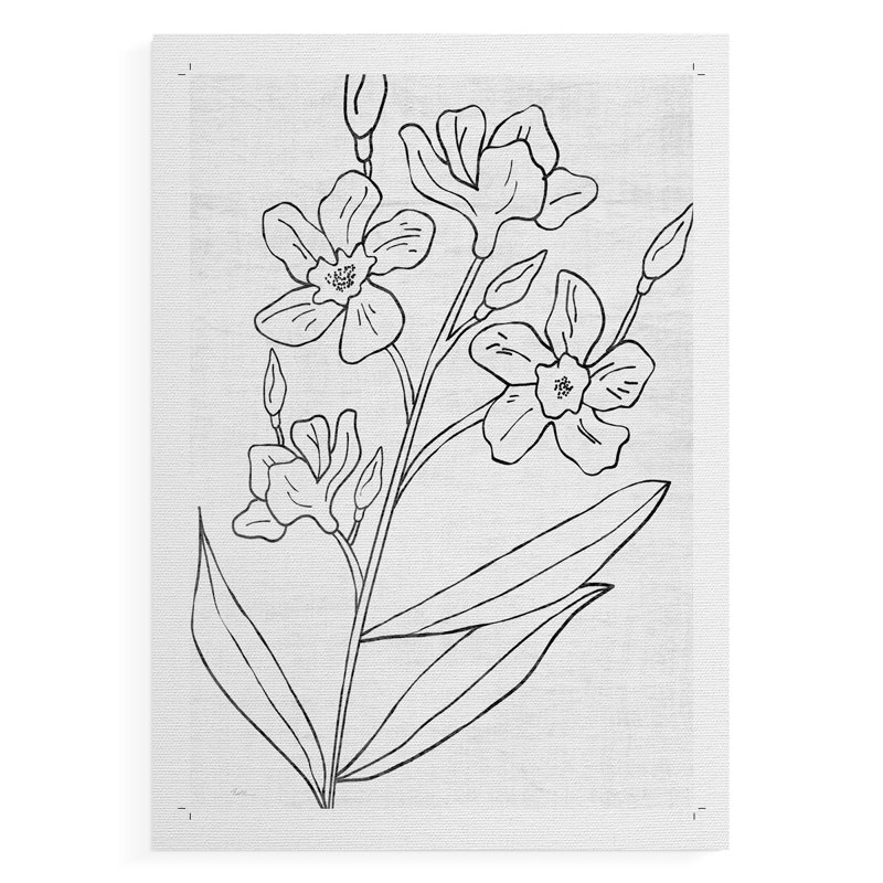 Croquis botanique I - reproduction de toile seulement - non encadrée, H 18 po x l 12 po