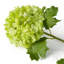 Faux Floral Arrangement in Vase-1455696055