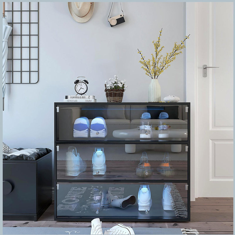 Armoire de rangement pour chaussures avec porte en verre, Noir