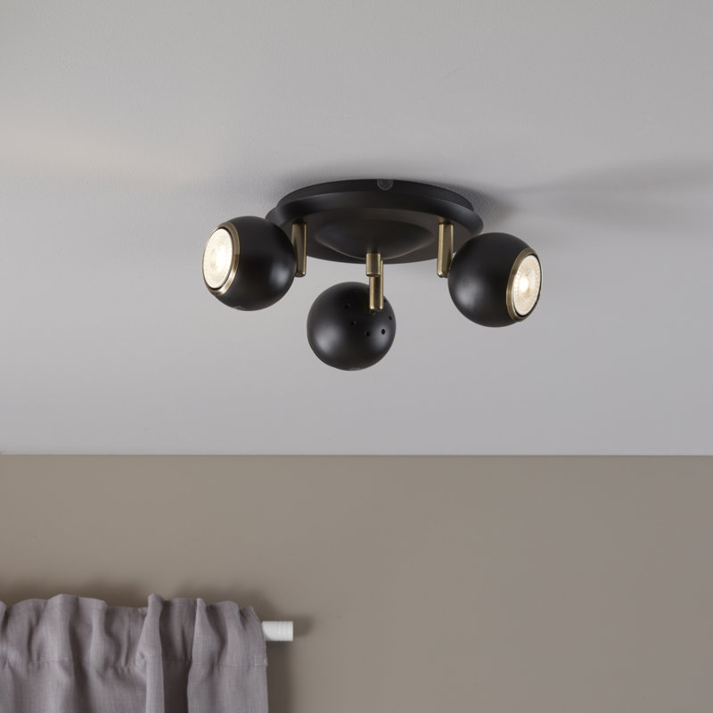 Dove Spotlight, Black