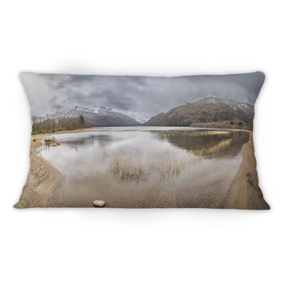 Throw Pillow