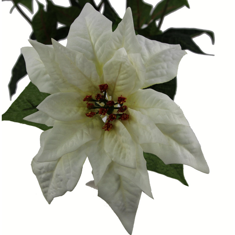 7 tiges de poinsettia artificielles velours, Crème