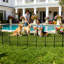 Fence Panels Fencing-132212719-132212720
