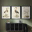 Antique Heron I - reproduction sur mesure encadrée de qualité supérieure - 3 pièces-339623390-339623388