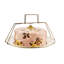 Wild Rose Cake Carrier-1187373565