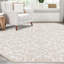 Tapis traditionnel Emigdio couleur nuage-557360681