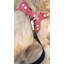 Tavion Codura Pet Bed-226249212