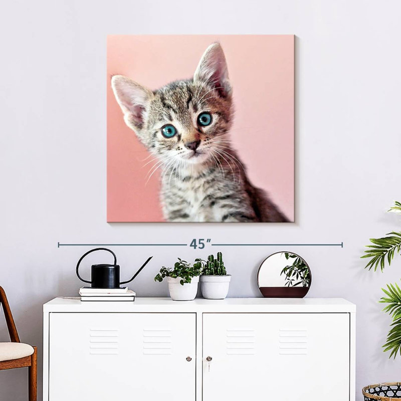 Corbeau fixant un chat, H 30 po x l 30 po