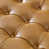 Camel selected