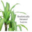 49 po Faux arbre Dracaena en pot