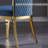 Ismary 18.9'' H Velvet Upholstered Side Chair-1719257069-1719257068