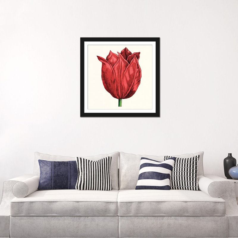 « tulip jardin ii », reproduction d’impression sur toile, H 24 po x l 24 po x P 1 po, Papier d'art encadré noir, Blanc