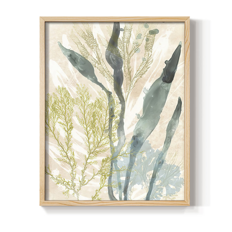 «Vintage Ocean Jewels I», reproduction encadrée - bois massif, H 21 po x l 17 po