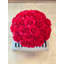 Composition de roses en vase-136070094