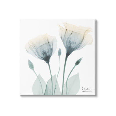 "Opaque Tulip Duo", art mural par Albert Koetsier