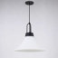 Luminaire suspendu 1 lumière Rockleigh 60 watts avec abat-jour en verre opale gravé Rockleigh-1254315331-1254315328