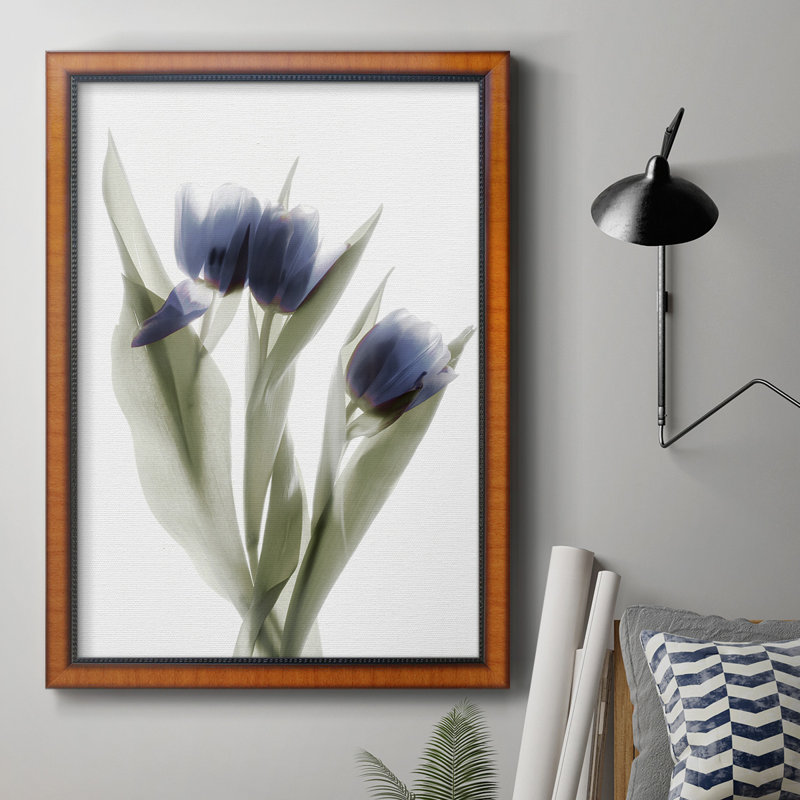 Toile encadrée de qualité supérieure Xray Tulip, H 20 po x l 16 po x P 2,5 po