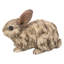 Statue lapin en bois flotté-339798869