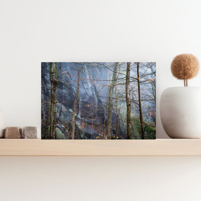 Bare Trees In Front Of Cathedral Rocks, Adirondack Mountains, New York, Usa Contemporary Wall Art