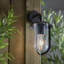 Crissyfield 24cm H Outdoor Wall Lantern