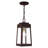 Antionetta Outdoor Hanging Lantern-448062610