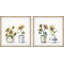 Always In Bloom Diptych