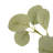 Merri Tree-Merri Tree-7'